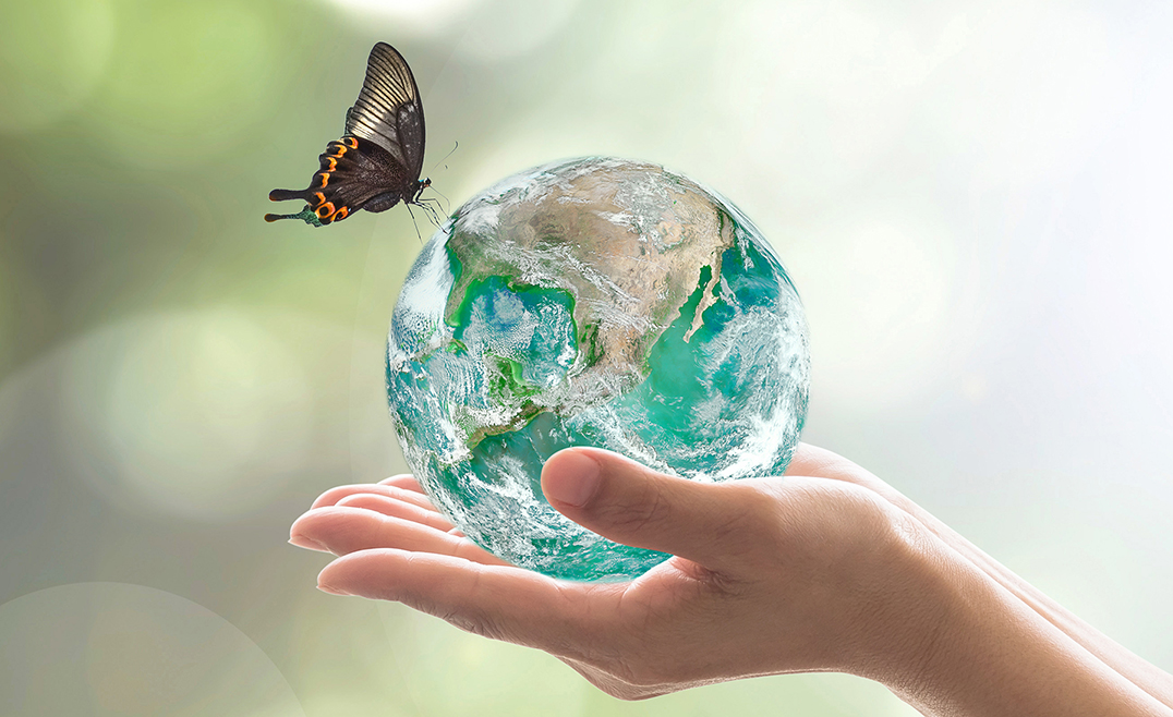 Globe and butterfly